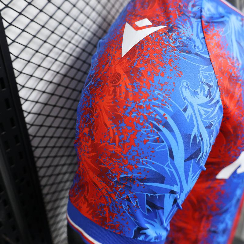 Camiseta Crystal Palace Primera Equipacion 24/25 - Jugador