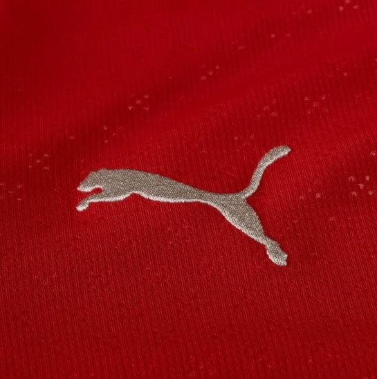 Camiseta Portugal Home 25/26