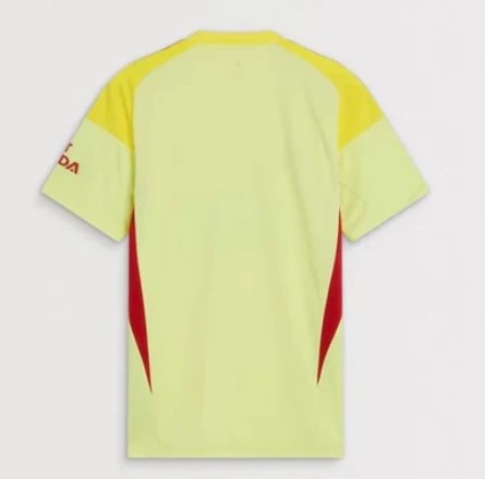 Camiseta y Pantalones para niños Arsenal Portero 25/26