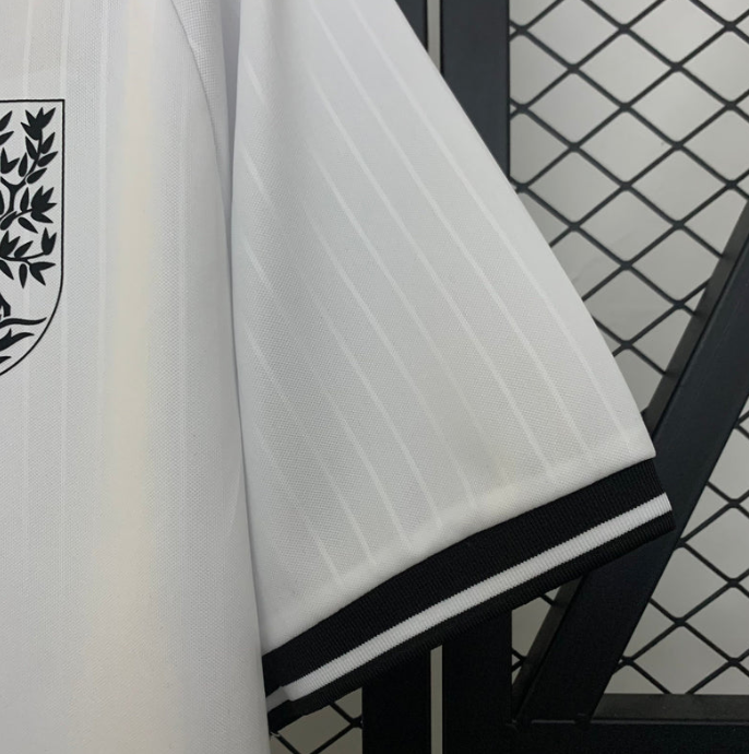 Camiseta RC Celta Edición Especial