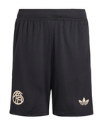 Camiseta y Pantalones para niños Bayern de Múnich Third 25/26