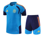 Camiseta y Pantalón corto de entrenamiento España 26/27