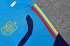 Camiseta y Pantalón corto de entrenamiento España 26/27