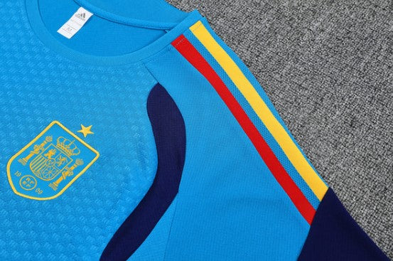 Camiseta y Pantalón corto de entrenamiento España 26/27