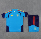 Camiseta y Pantalón corto de entrenamiento España 26/27