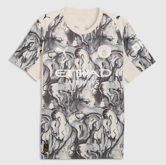 Camiseta Manchester City Capacitación 26/27