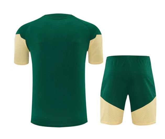 Camiseta y Pantalón corto de entrenamiento Real Madrid 26/27