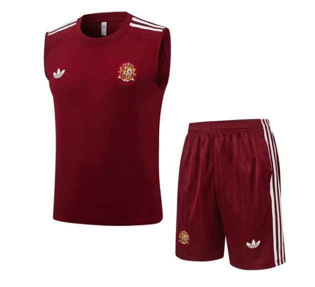 Camiseta y Pantalón corto de entrenamiento España 26/27