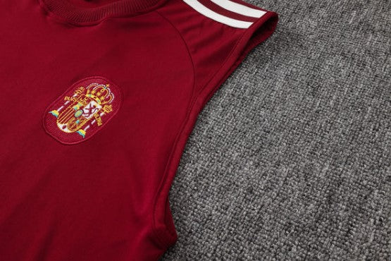 Camiseta y Pantalón corto de entrenamiento España 26/27