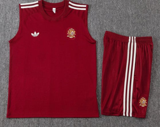 Camiseta y Pantalón corto de entrenamiento España 26/27