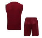 Camiseta y Pantalón corto de entrenamiento España 26/27