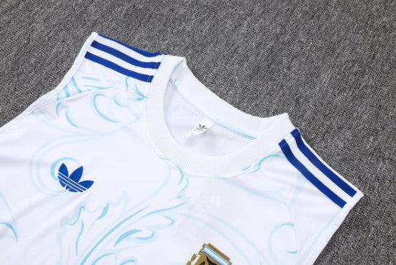 Camiseta y Pantalón corto de entrenamiento Argentina 26/27