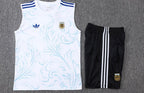 Camiseta y Pantalón corto de entrenamiento Argentina 26/27
