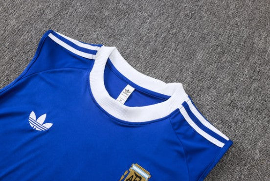 Camiseta y Pantalón corto de entrenamiento Argentina 26/27