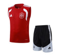 Camiseta y Pantalón corto de entrenamiento España 26/27