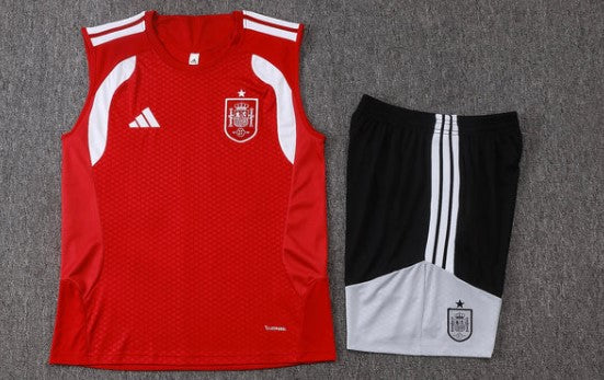 Camiseta y Pantalón corto de entrenamiento España 26/27