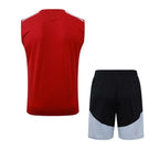 Camiseta y Pantalón corto de entrenamiento España 26/27