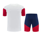 Camiseta y Pantalón corto de entrenamiento España 26/27