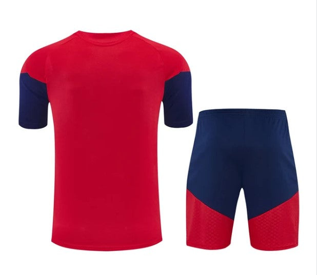 Camiseta y Pantalón corto de entrenamiento para niños España 26/27