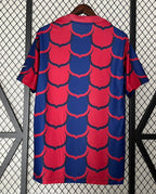 Camiseta FC Barcelona Entrenamiento 24/25