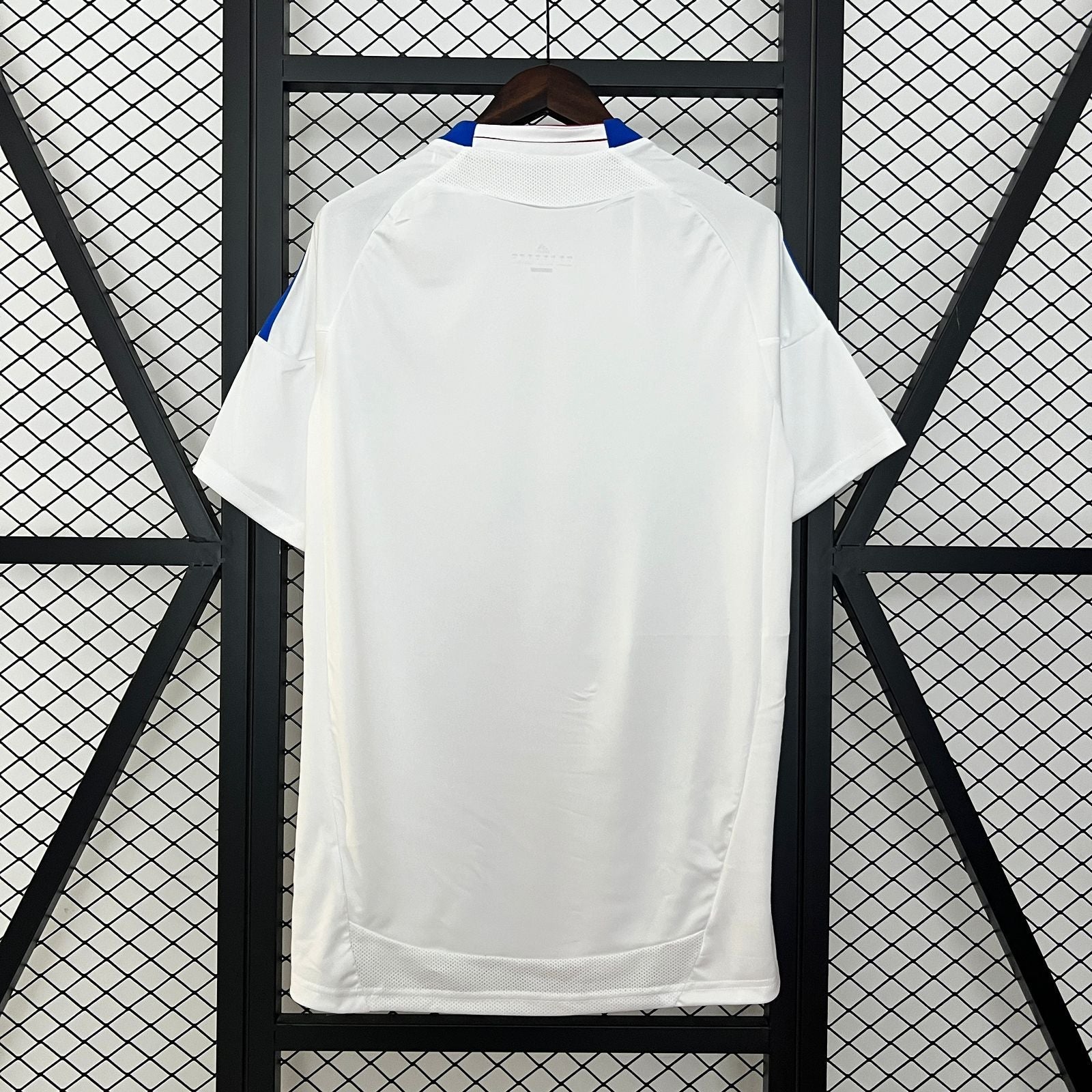 Camiseta Retro Lyon 10/11