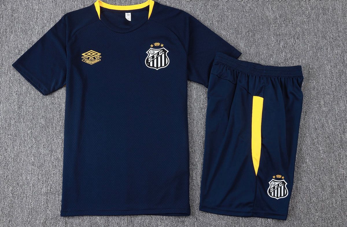Camiseta y Pantalón corto de Entrenamiento Santos 25/26