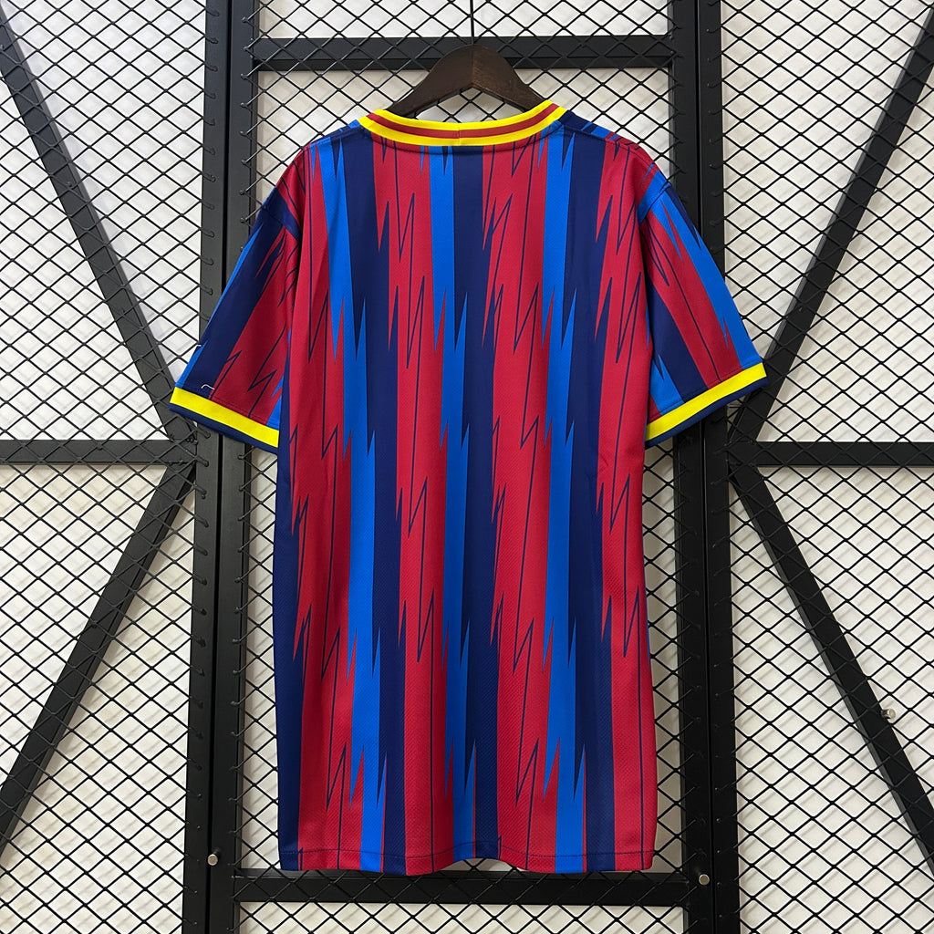 Camiseta FC Barcelona Edición Especial 24/25